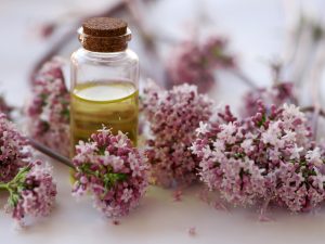 La valériane, grande médicinale contre l'insomnie, à découvrir en atelier