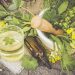 Plantes médicinales en décoction