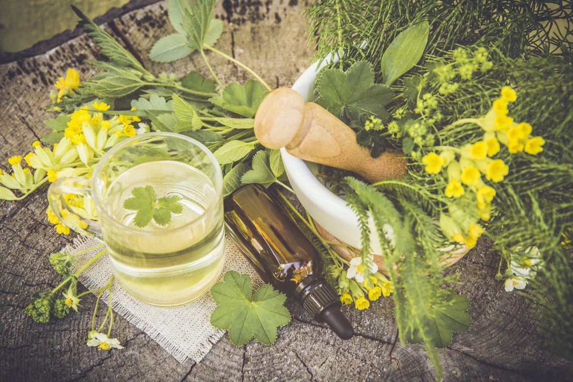 Découvrir les plantes médicinales grâce à des ateliers pratiques