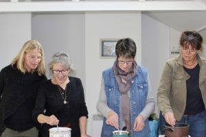 Atelier découverte des plantes médicinales Un atelier découverte des plantes médicinales