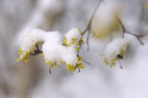 Découvrir les richesses de la nature au travers d'un atelier d'herboristerie : une idée cadeau originale !