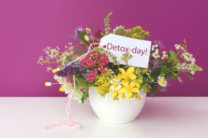 Détox de printemps grâce aux plantes médicinales