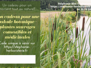 Bon cadeau pour une balade botanique à offrir à vos proches - plantes sauvages médicinales et comestibles