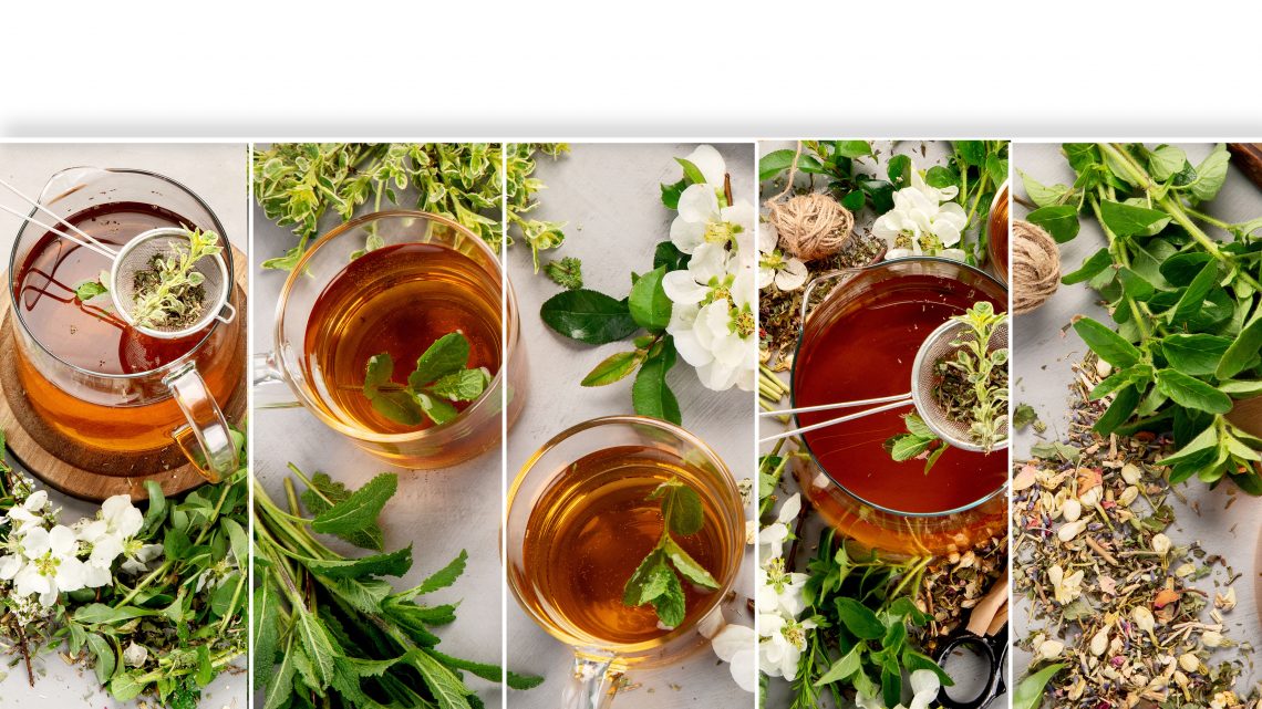 Formation annuelle plantes médicinales