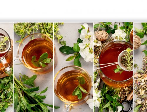 Formation annuelle plantes médicinales