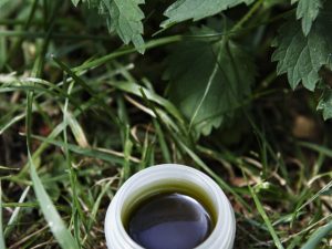 04/07/2026. Atelier pharmacie spécial été