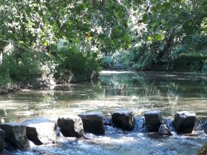 Balade sortie plantes comestibles saulges