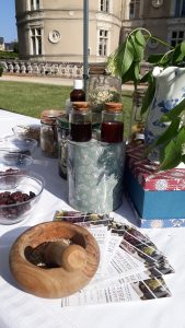 Prestation sur mesure : présentation des plantes médicinales pendant un évènement