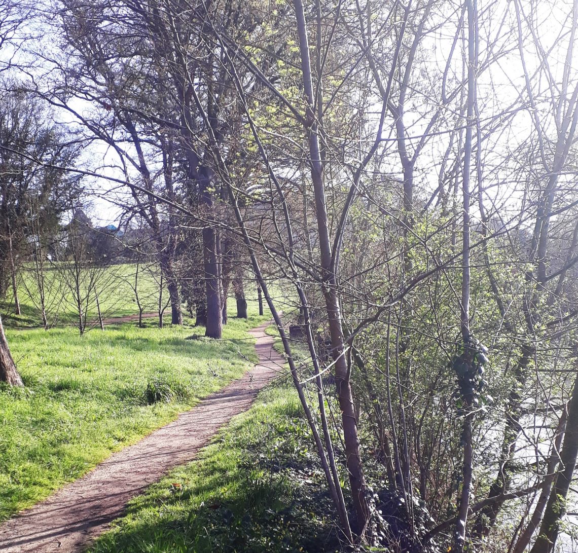 Balades botaniques en Sarthe