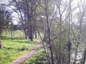Balades botaniques en Sarthe