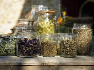 Formation annuelle plantes médicinales à destination des particuliers