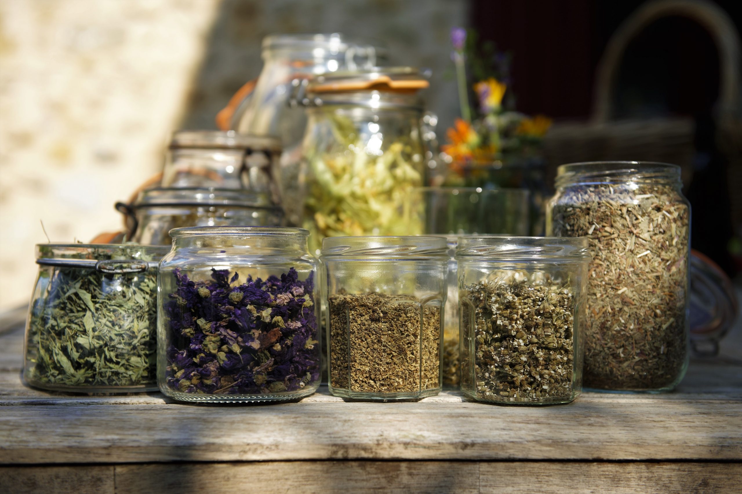 Formation annuelle plantes médicinales à destination des particuliers