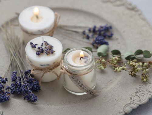 Programme annuel plaisir de plantes