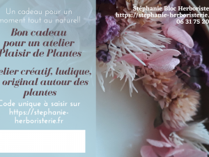 Bon cadeau atelier créatif naturel plantes