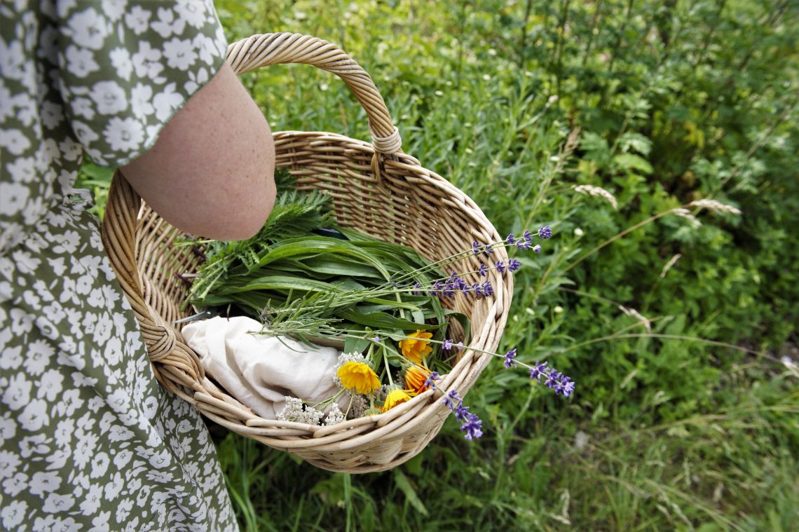 Journée portes ouvertes formation médicinales