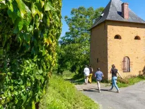 23 mai 2026 14h30-16h30 - Sortie botanique plantes médicinales à Brûlon