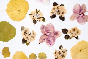 Bijoux de fleurs séchées