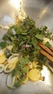 Plantes sauvages comestibles